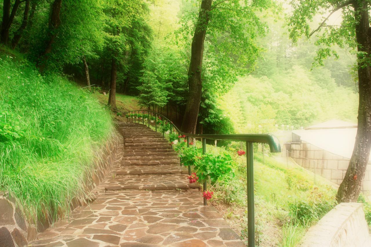 Hotel Nemira Slănic-Moldova Zewnętrze zdjęcie