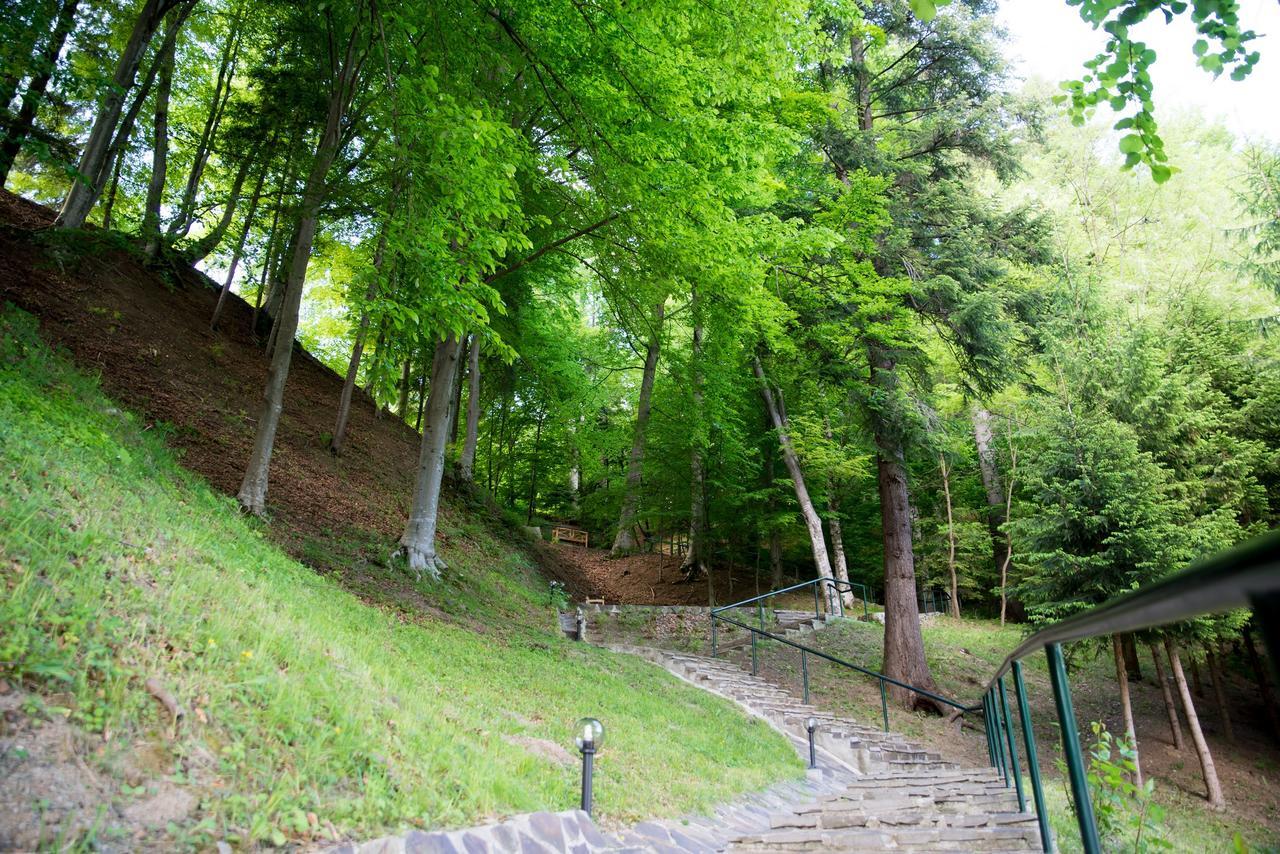 Hotel Nemira Slănic-Moldova Zewnętrze zdjęcie